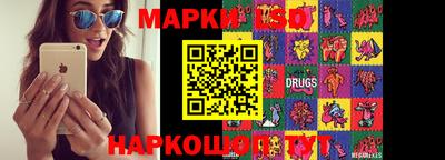 ПСИЛОЦИБИНОВЫЕ ГРИБЫ Коммунар