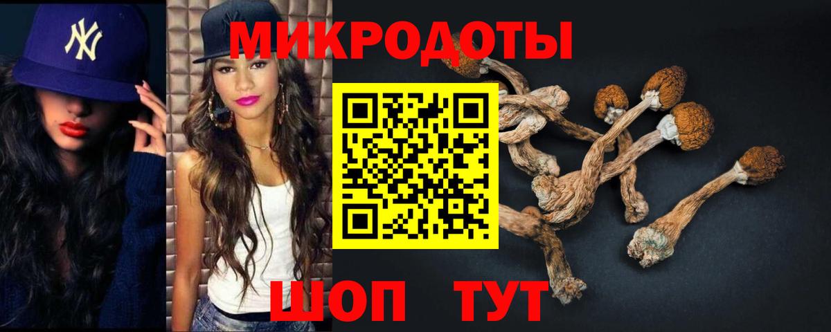 Галлюциногенные грибы GOLDEN TEACHER  дарнет шоп  Кувандык  Вход с VPN 